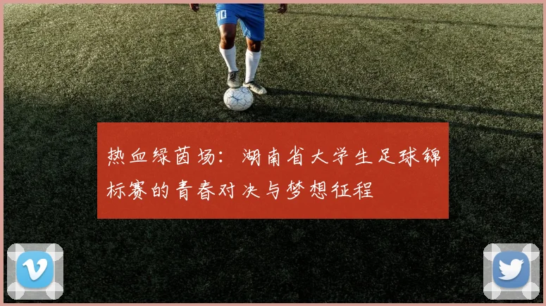 热血绿茵场：湖南省大学生足球锦标赛的青春对决与梦想征程