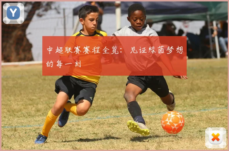 中超联赛赛程全览：见证绿茵梦想的每一刻
