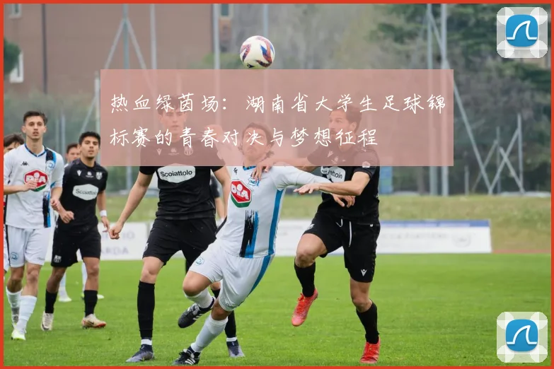 热血绿茵场：湖南省大学生足球锦标赛的青春对决与梦想征程